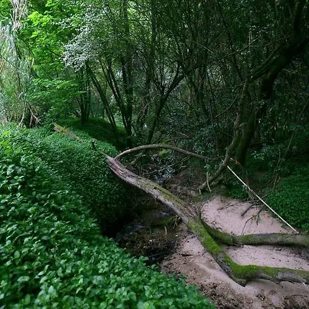 Casa Pesqueiras Villa *