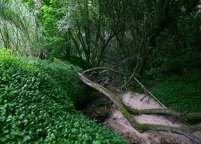 Casa Pesqueiras וילה *